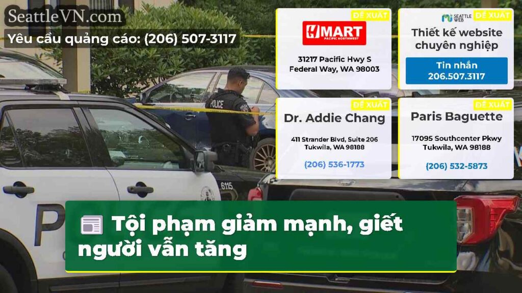 Tội phạm giảm mạnh, giết người vẫn tăng
