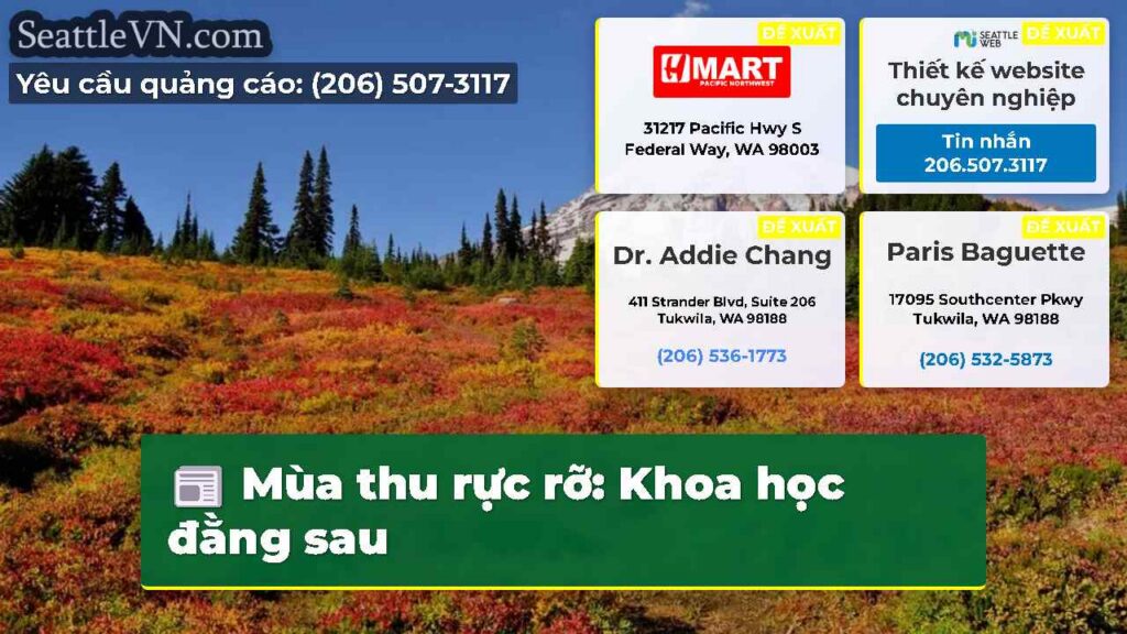 Mùa thu rực rỡ: Khoa học đằng sau