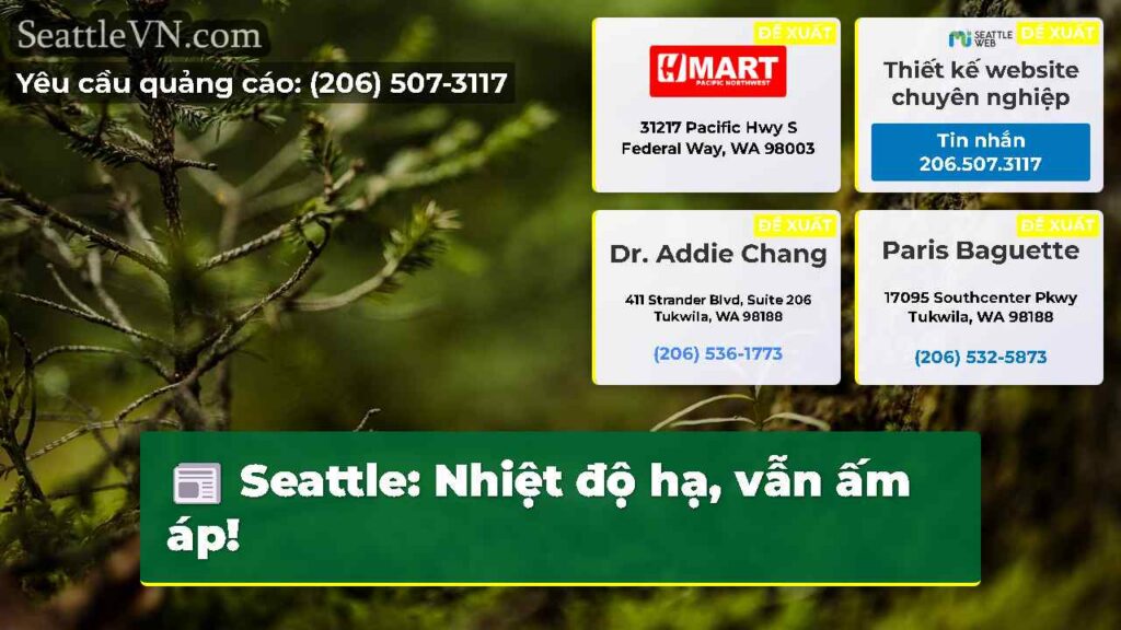 Seattle: Nhiệt độ hạ, vẫn ấm áp!