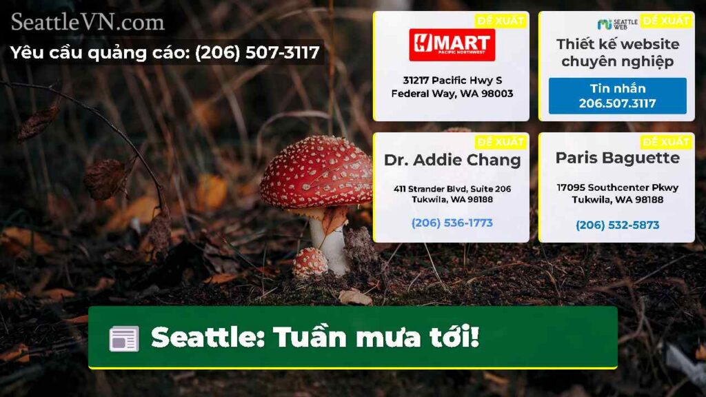 Seattle: Tuần mưa tới!