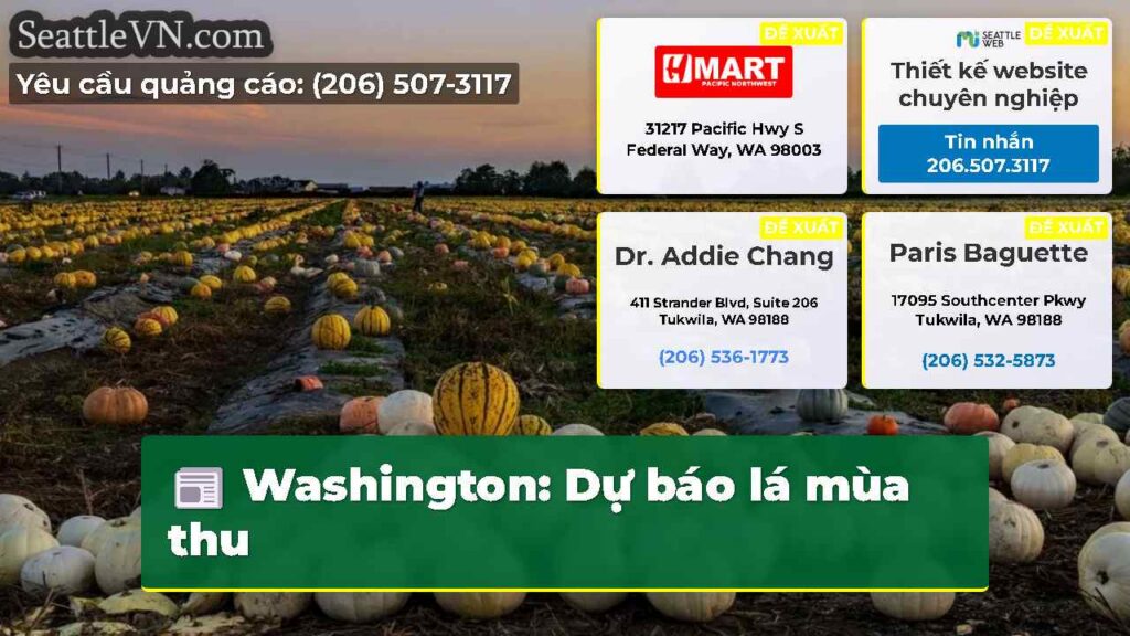 Washington: Dự báo lá mùa thu