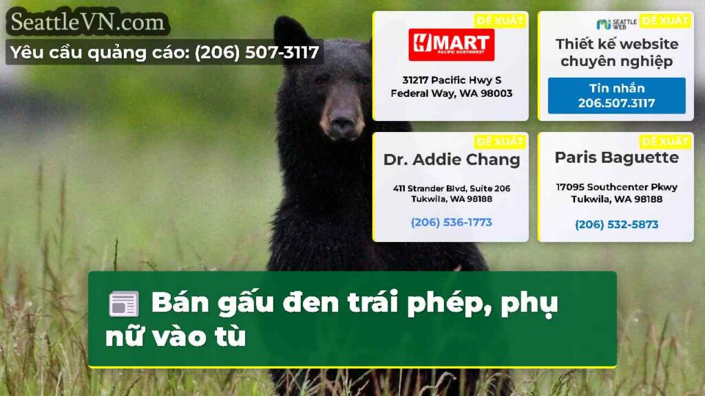 Bán gấu đen trái phép, phụ nữ vào tù