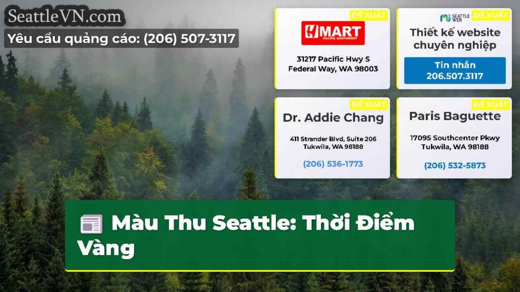 Màu Thu Seattle: Thời Điểm Vàng