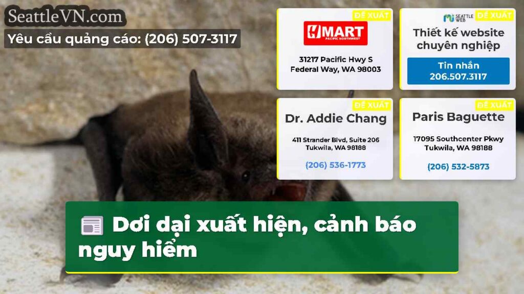 Dơi dại xuất hiện, cảnh báo nguy hiểm