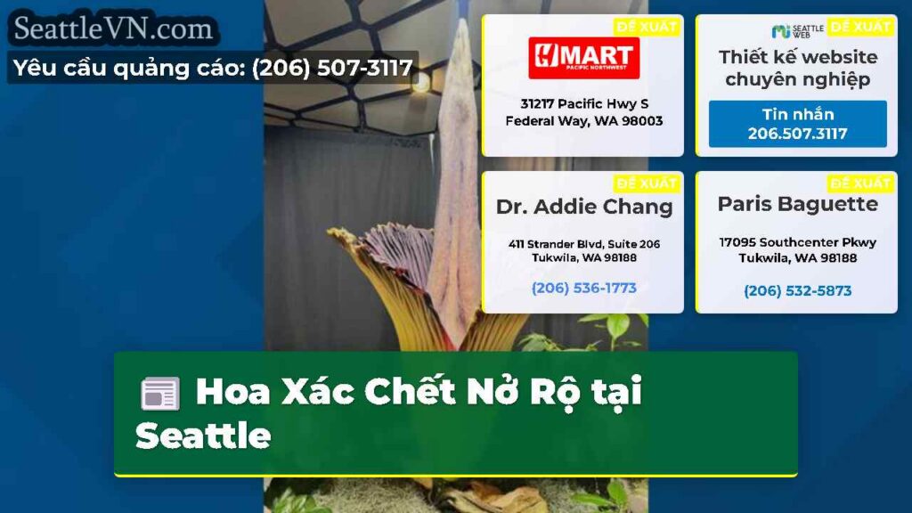 Hoa Xác Chết Nở Rộ tại Seattle