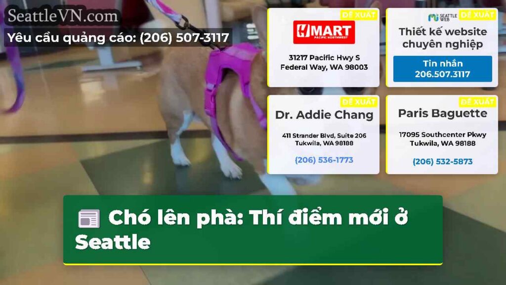 Chó lên phà: Thí điểm mới ở Seattle