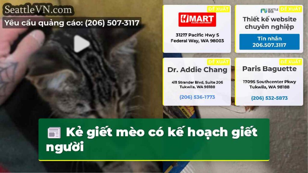 Kẻ giết mèo có kế hoạch giết người