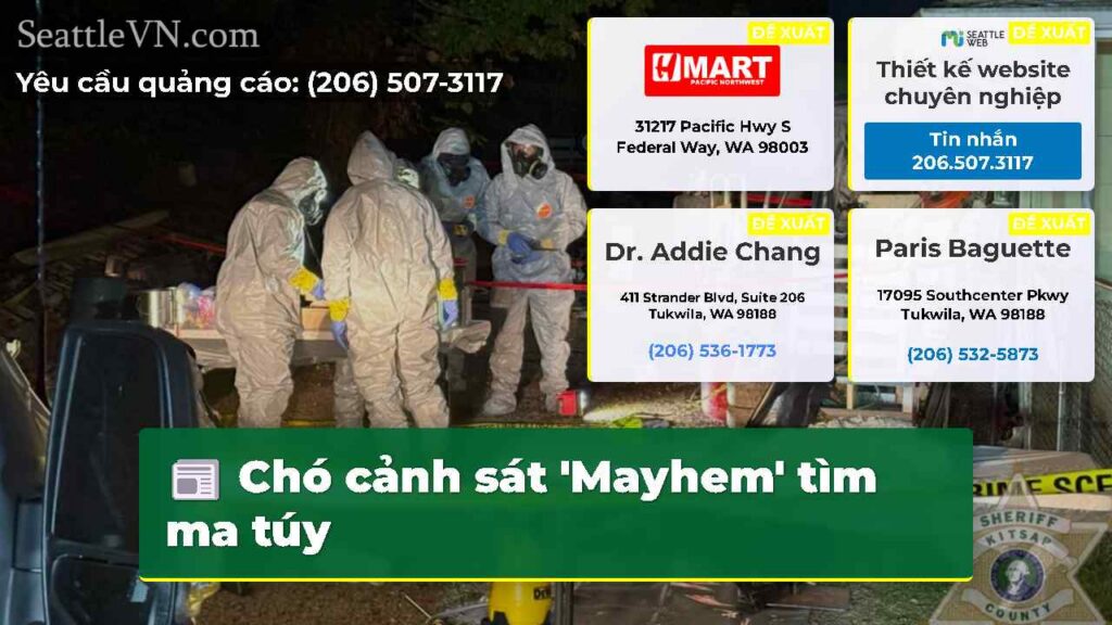 Chó cảnh sát 'Mayhem' tìm ma túy