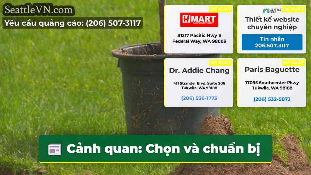 Cảnh quan: Chọn và chuẩn bị