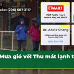 Mưa gió về! Thu mát lạnh trở lại