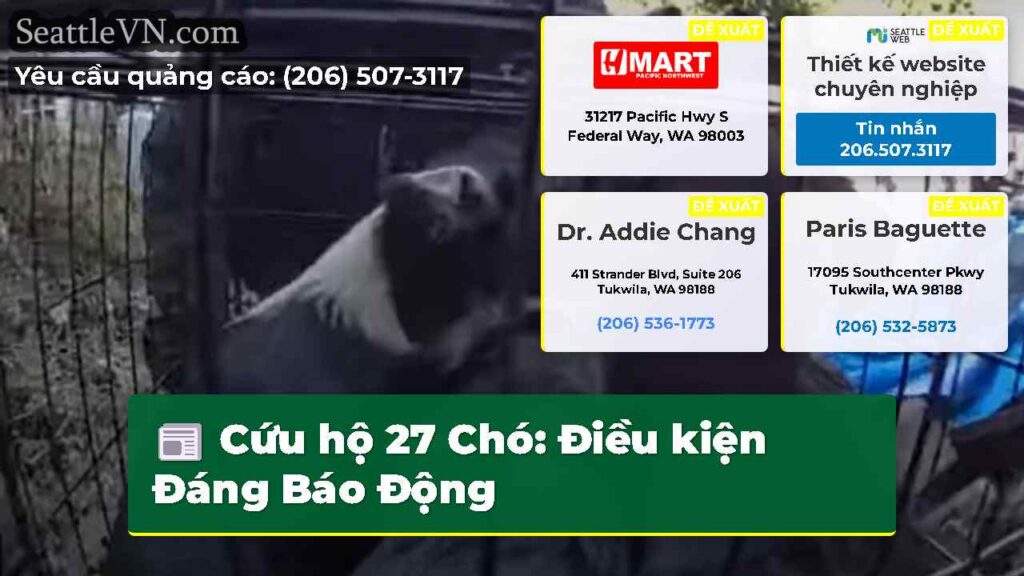 Cứu hộ 27 Chó: Điều kiện Đáng Báo Động