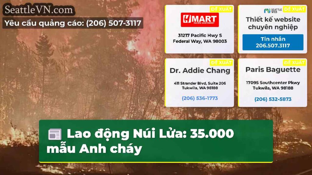 Lao động Núi Lửa: 35.000 mẫu Anh cháy