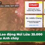 Lao động Núi Lửa 35.000 mẫu Anh cháy