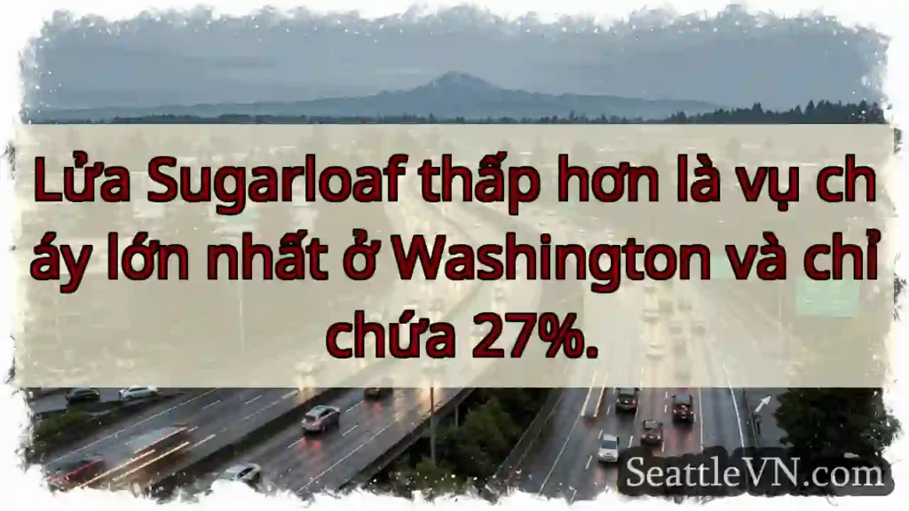 Lửa Sugarloaf thấp hơn là vụ cháy lớn nhất ở