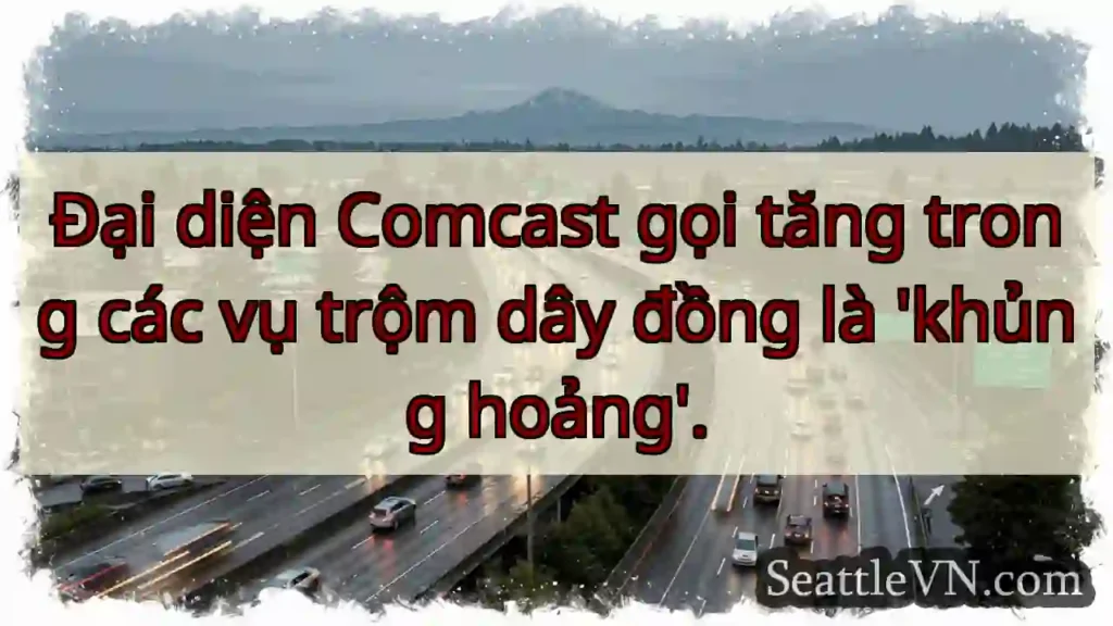 Đại diện Comcast gọi tăng trong các vụ trộm dây