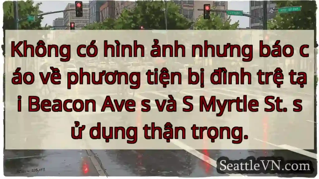 Không có hình ảnh nhưng báo cáo về phương tiện bị