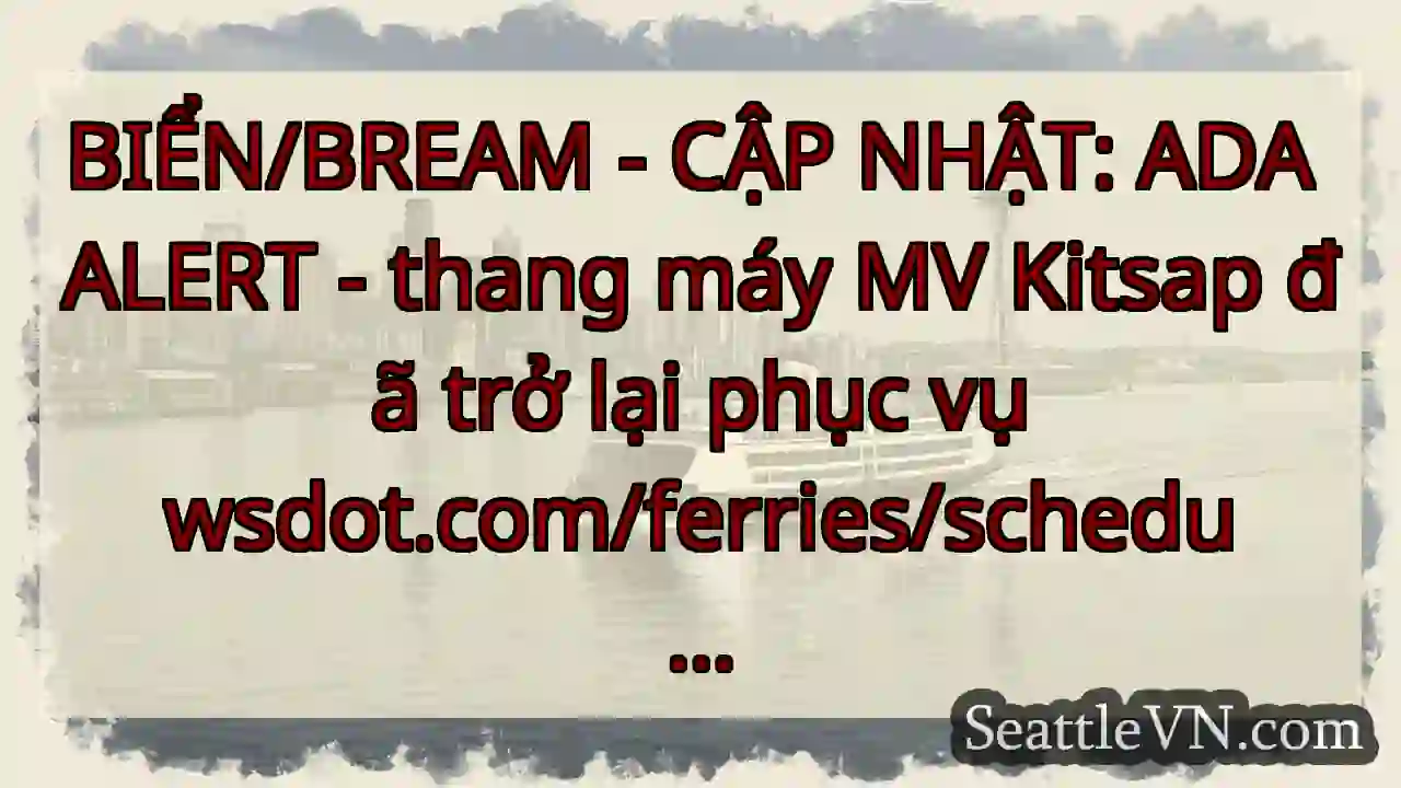 BIỂN/BREAM - CẬP NHẬT: ADA ALERT - thang máy MV