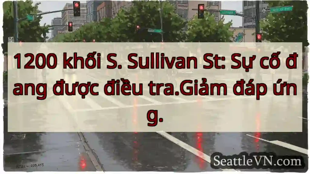 1200 khối S. Sullivan St: Sự cố đang được điều