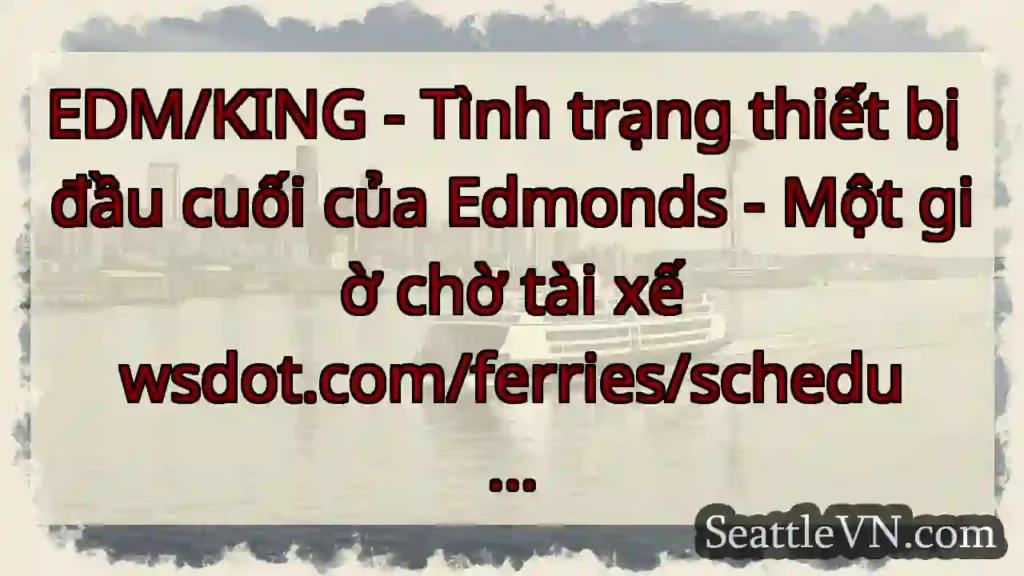 EDM/KING - Tình trạng thiết bị đầu cuối của