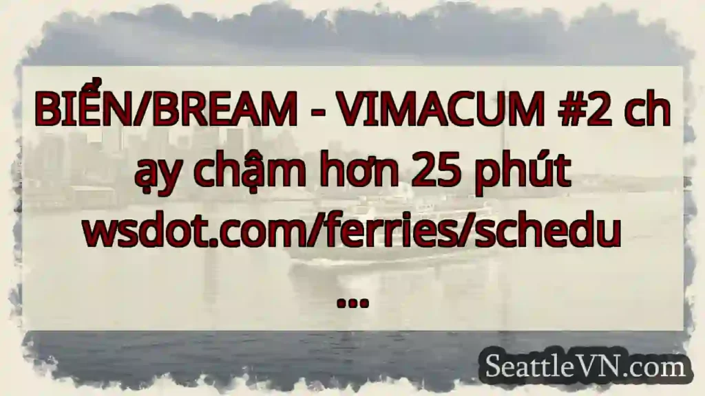 BIỂN/BREAM - VIMACUM #2 chạy chậm hơn 25 phút