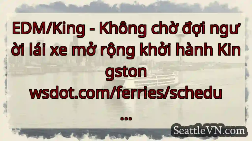 EDM/King - Không chờ đợi người lái xe mở rộng