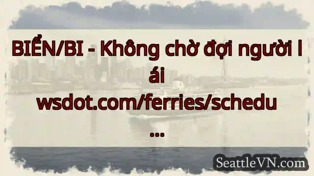 BIỂN/BI - Không chờ đợi người lái