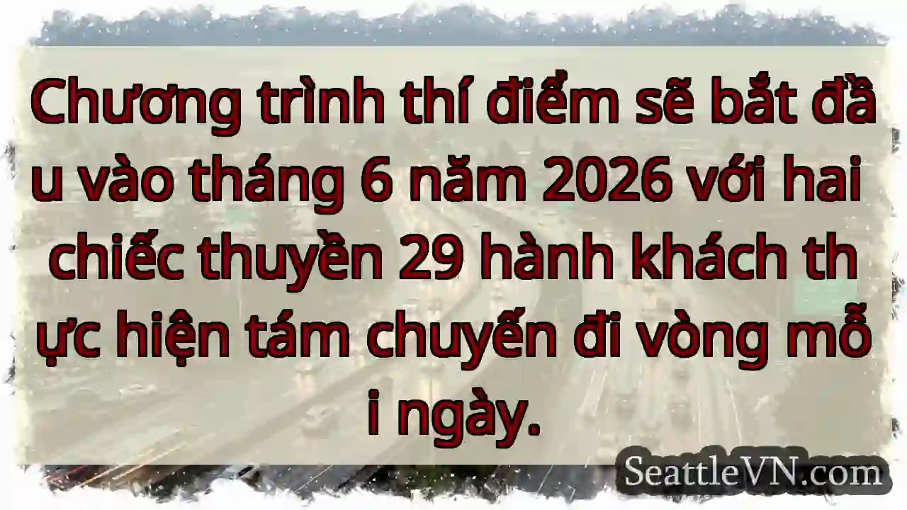 Chương trình thí điểm sẽ bắt đầu vào tháng 6 năm