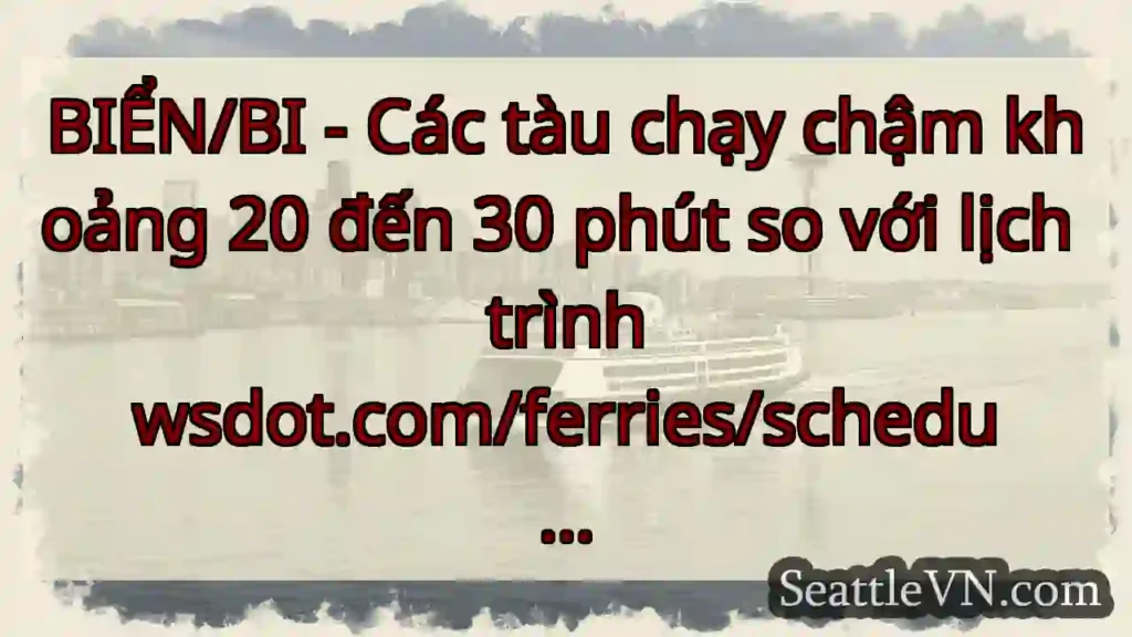 BIỂN/BI - Các tàu chạy chậm khoảng 20 đến 30 phút