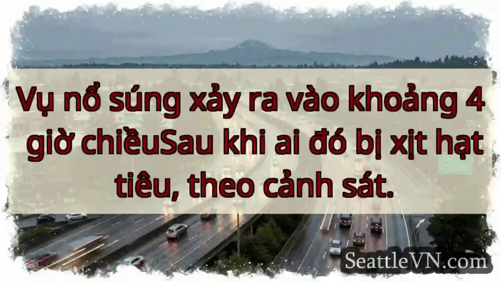 Vụ nổ súng xảy ra vào khoảng 4 giờ chiềuSau khi