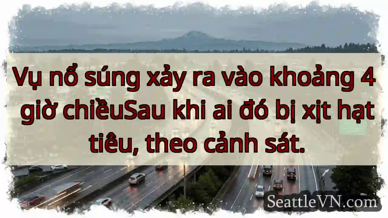 Vụ nổ súng xảy ra vào khoảng 4 giờ chiềuSau khi