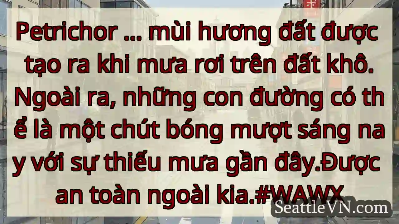 Petrichor ... mùi hương đất được tạo ra khi mưa