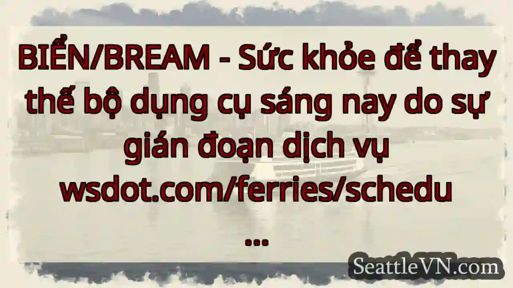 BIỂN/BREAM - Sức khỏe để thay thế bộ dụng cụ sáng