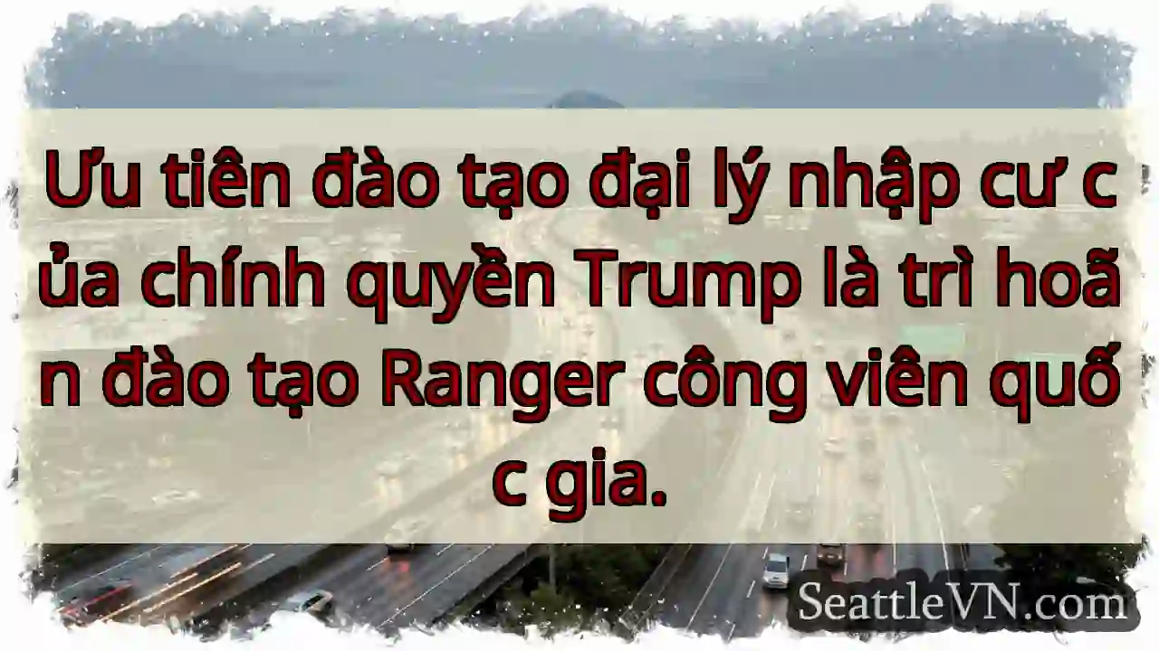 Ưu tiên đào tạo đại lý nhập cư của chính quyền