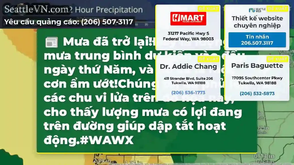 Mưa đã trở lại!Đây là lượng mưa trung bình dự