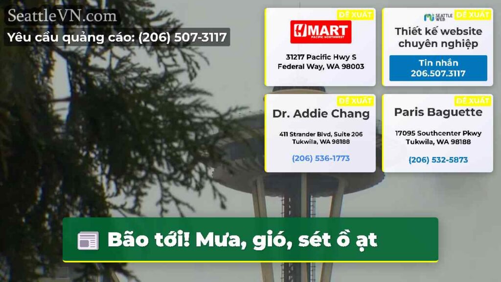 Bão tới! Mưa, gió, sét ồ ạt