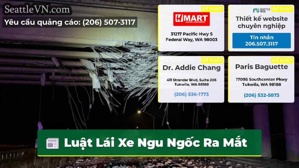 Luật Lái Xe Ngu Ngốc Ra Mắt