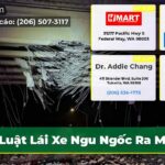 Luật Lái Xe Ngu Ngốc Ra Mắt