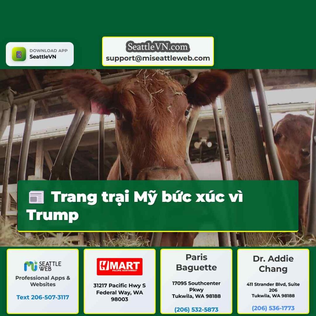 Trang trại Mỹ bức xúc vì Trump