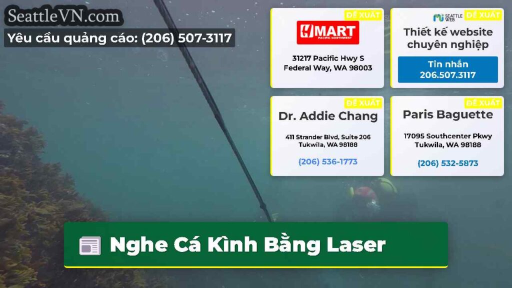 Nghe Cá Kình Bằng Laser