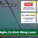Nghe Cá Kình Bằng Laser