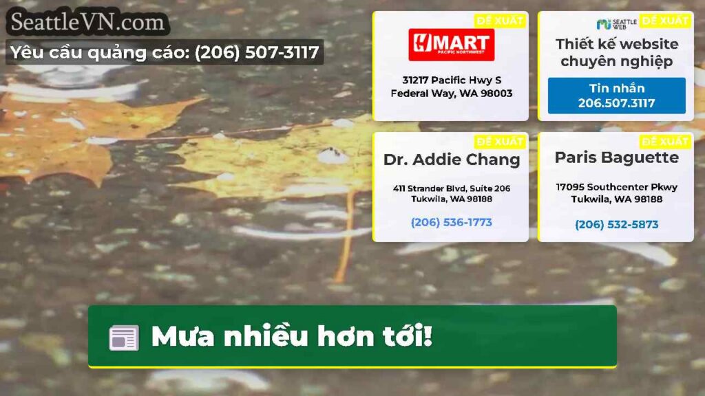 Mưa nhiều hơn tới!