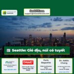 Seattle Gió dịu núi có tuyết