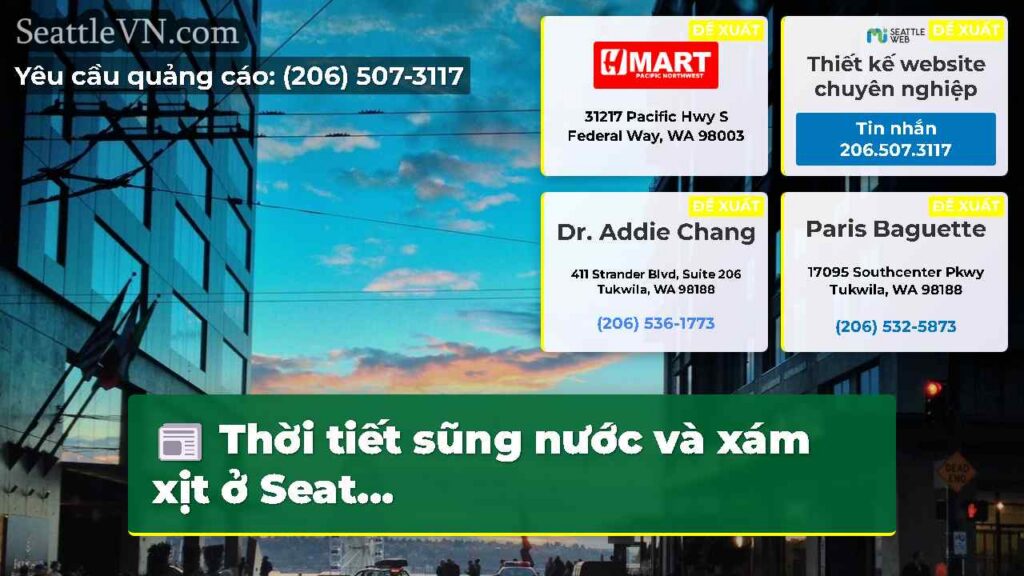 Thời tiết sũng nước và xám xịt ở Seat...