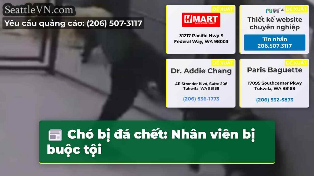 Chó bị đá chết: Nhân viên bị buộc tội