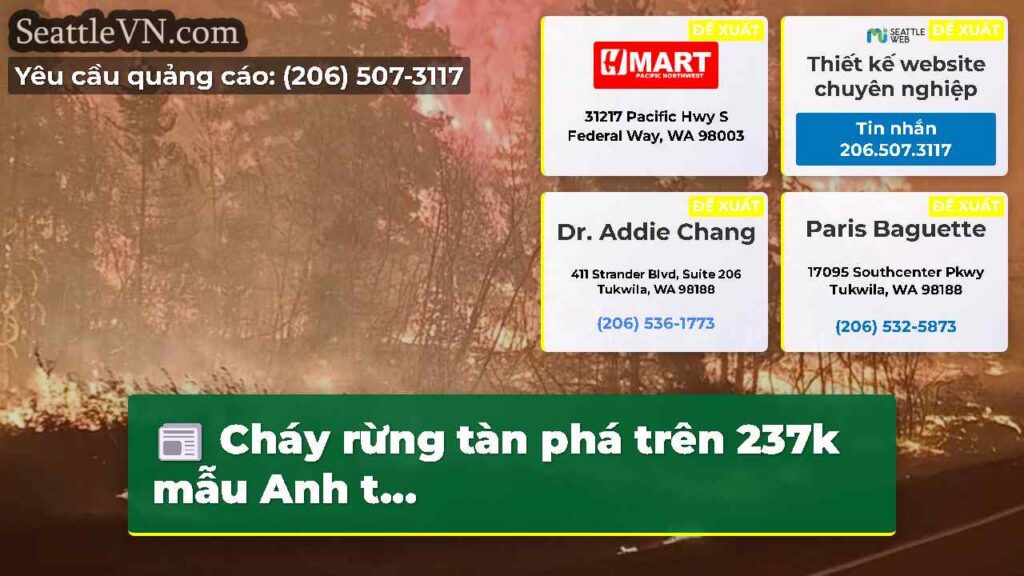 Cháy rừng tàn phá trên 237k mẫu Anh t...