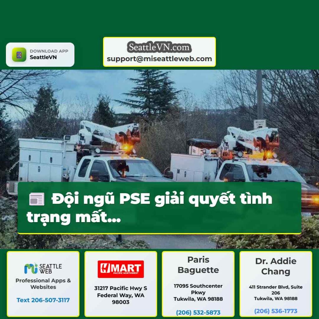 Đội ngũ PSE giải quyết tình trạng mất...