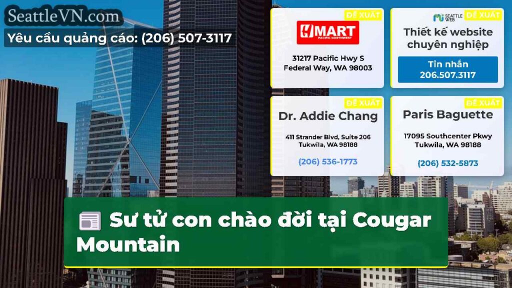 Sư tử con chào đời tại Cougar Mountain