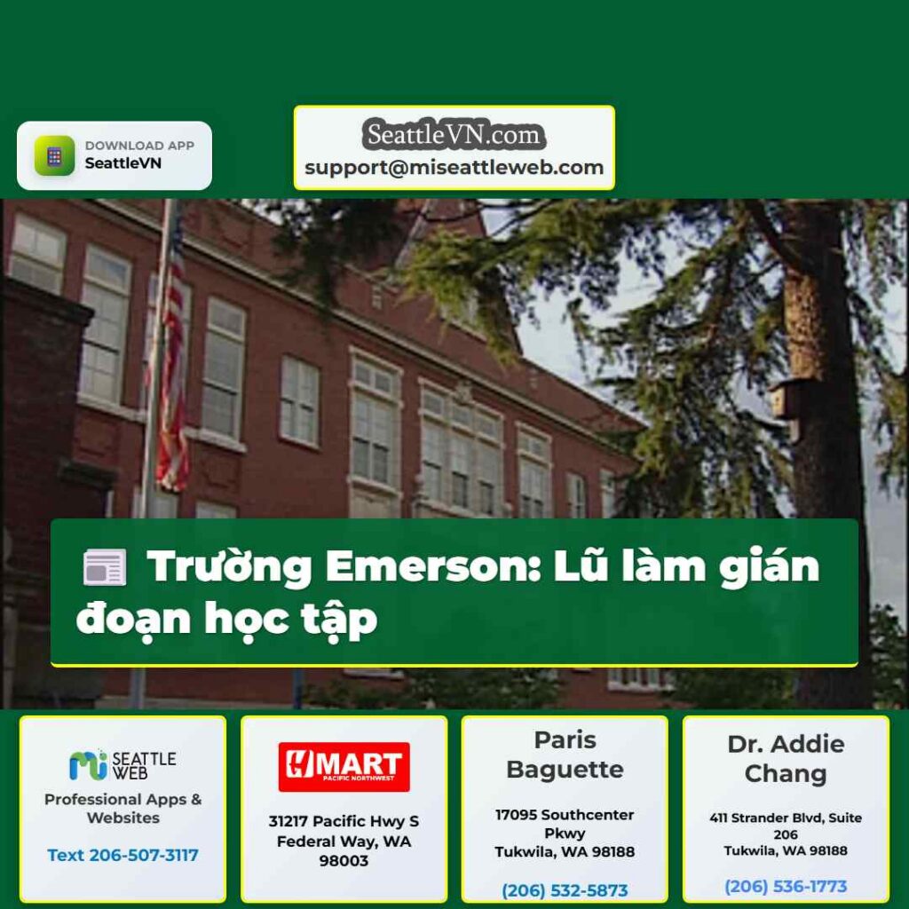 Trường Emerson: Lũ làm gián đoạn học tập