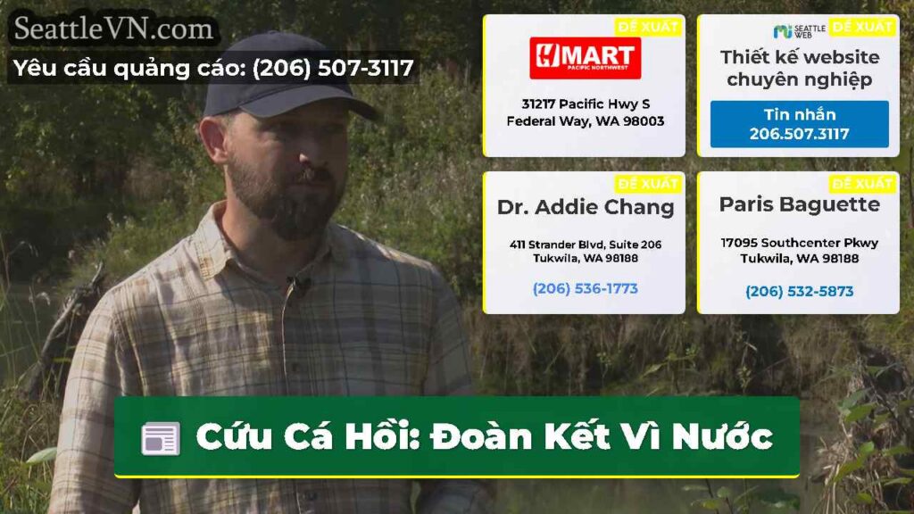 Cứu Cá Hồi: Đoàn Kết Vì Nước