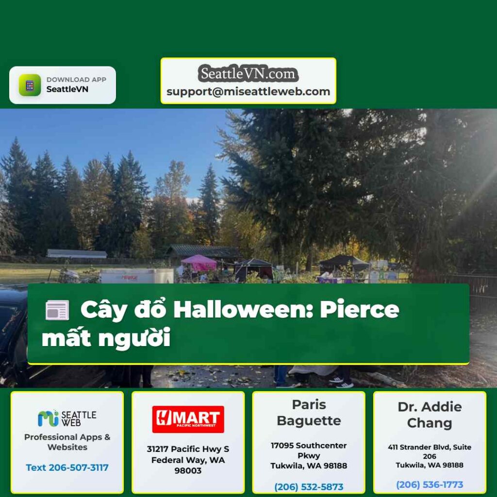 Cây đổ Halloween: Pierce mất người